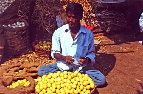 Selling lemons